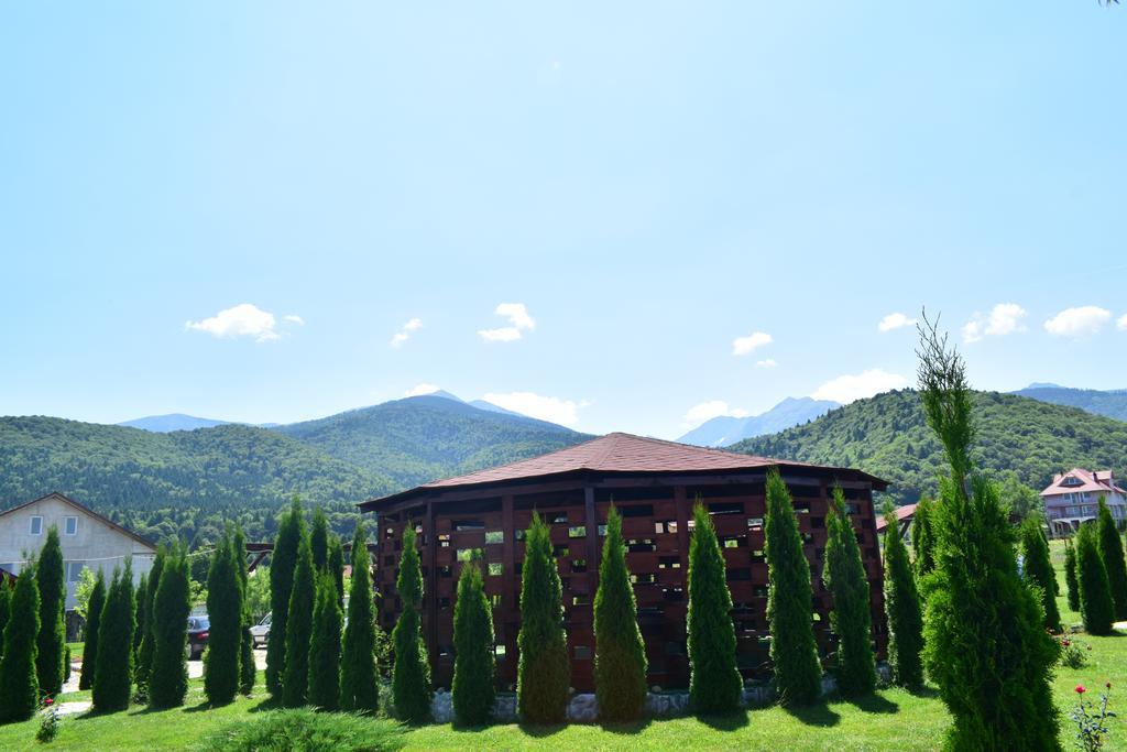 Pensiunea Mountain King Simbata de Sus Luaran gambar